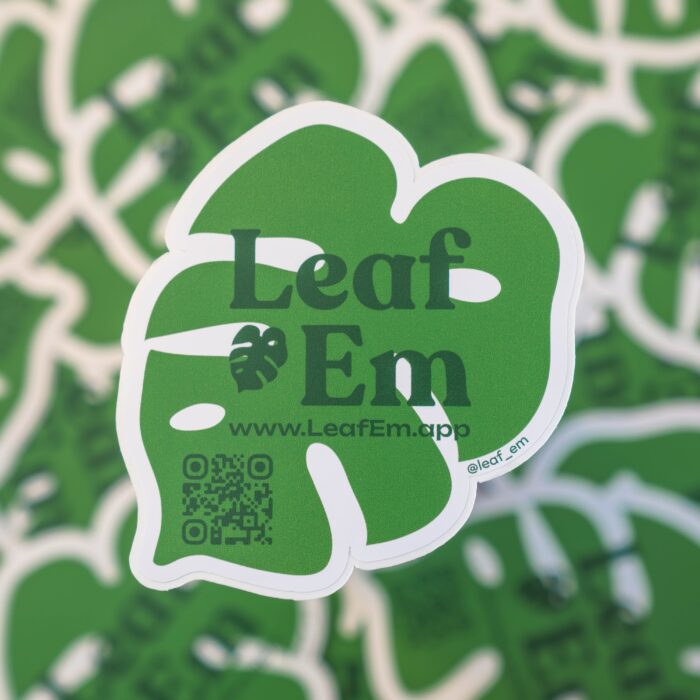 Vinyl  Stickers - Image 2